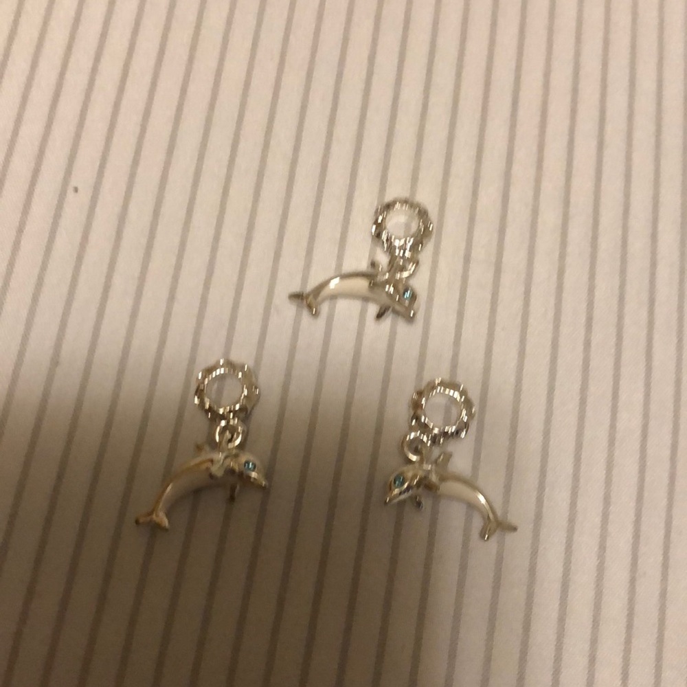 New Dolphins Charm